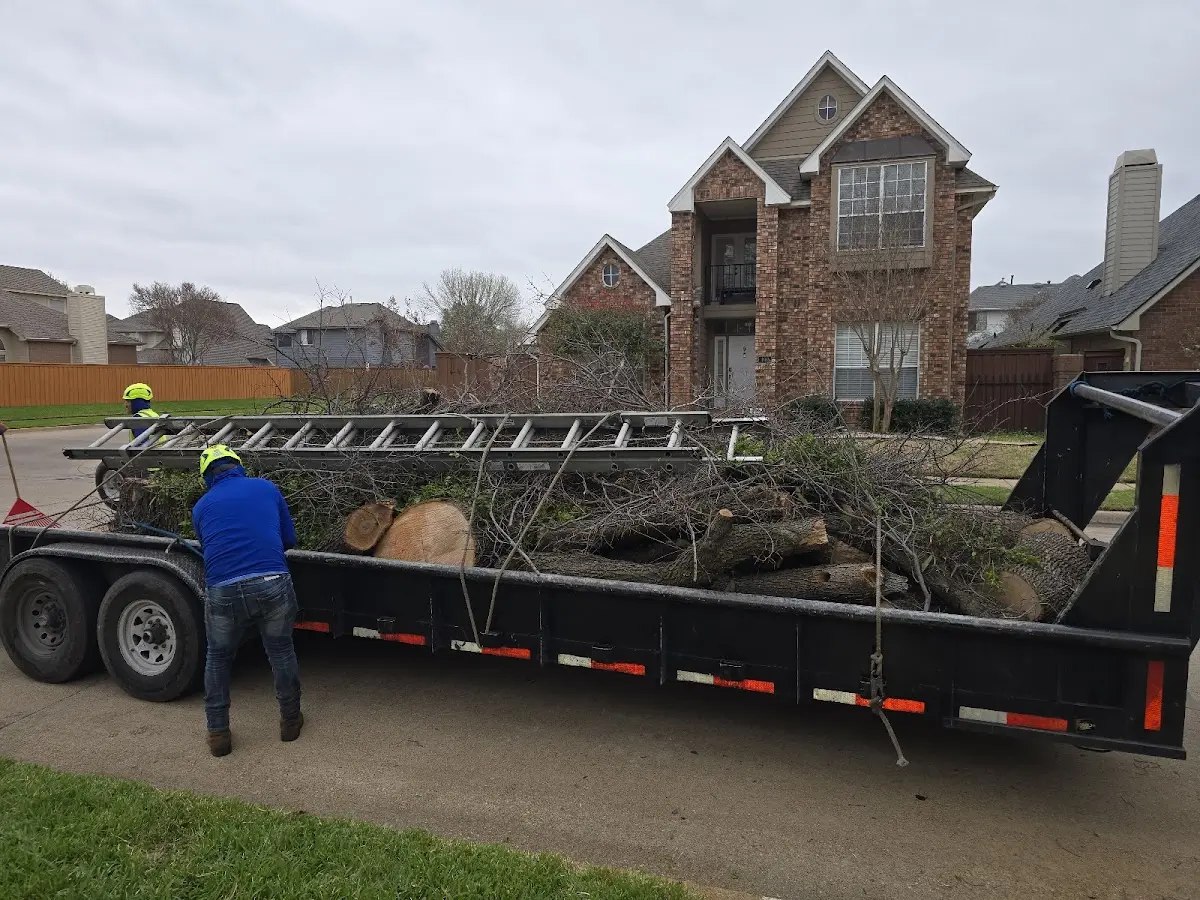 Expert Lot Clearing with proper safety equipment in Westphalia